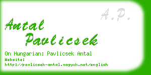 antal pavlicsek business card